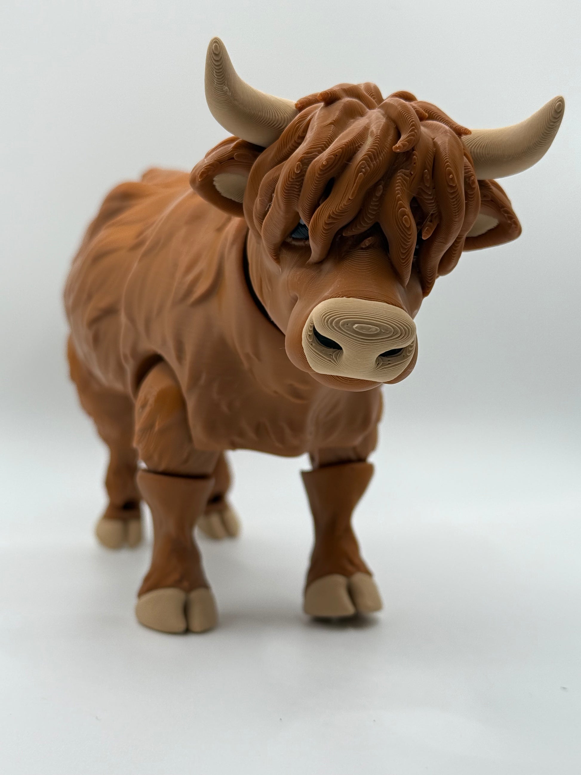 🐮 Flexi Highland Cow