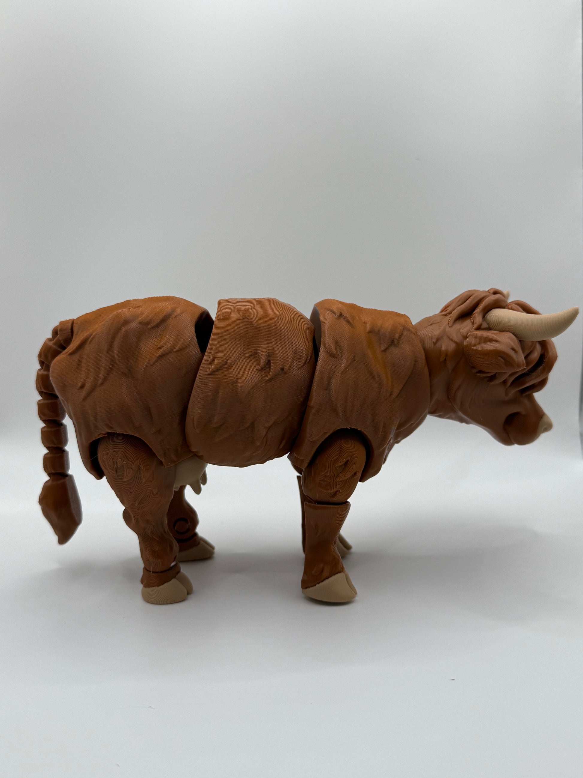 🐮 Flexi Highland Cow