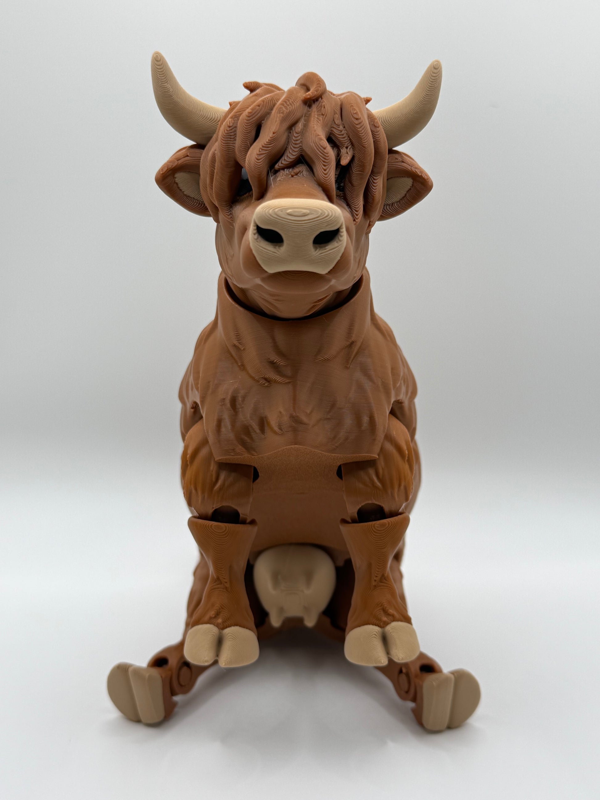 🐮 Flexi Highland Cow
