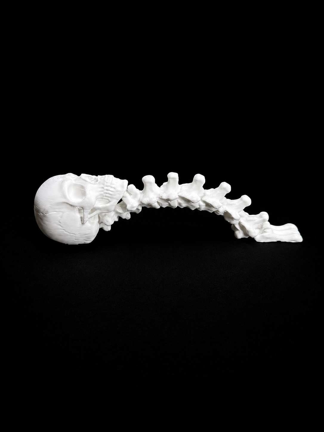 Skull & Spine Tumbler Handle for Epoxy Tumblers | 3D Printed Gothic Handle