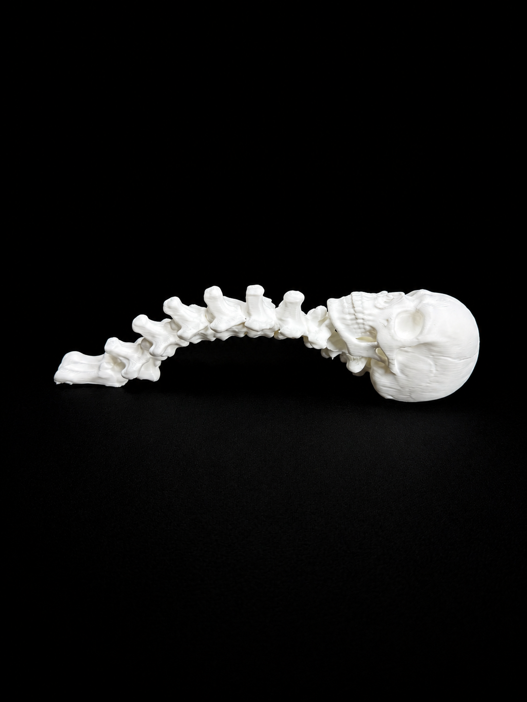 Skull & Spine Tumbler Handle for Epoxy Tumblers | 3D Printed Gothic Handle