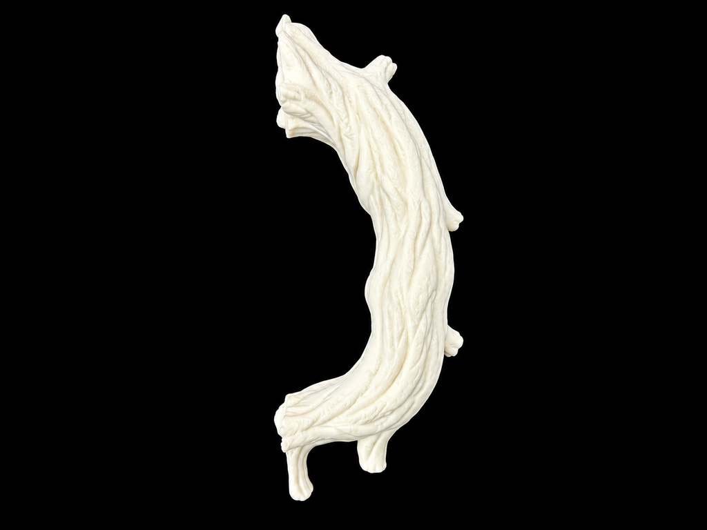 Haunted Tree Tumbler Handle