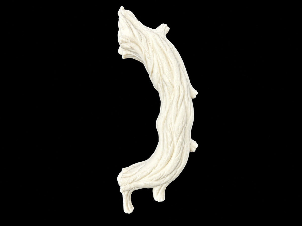 Haunted Tree Tumbler Handle
