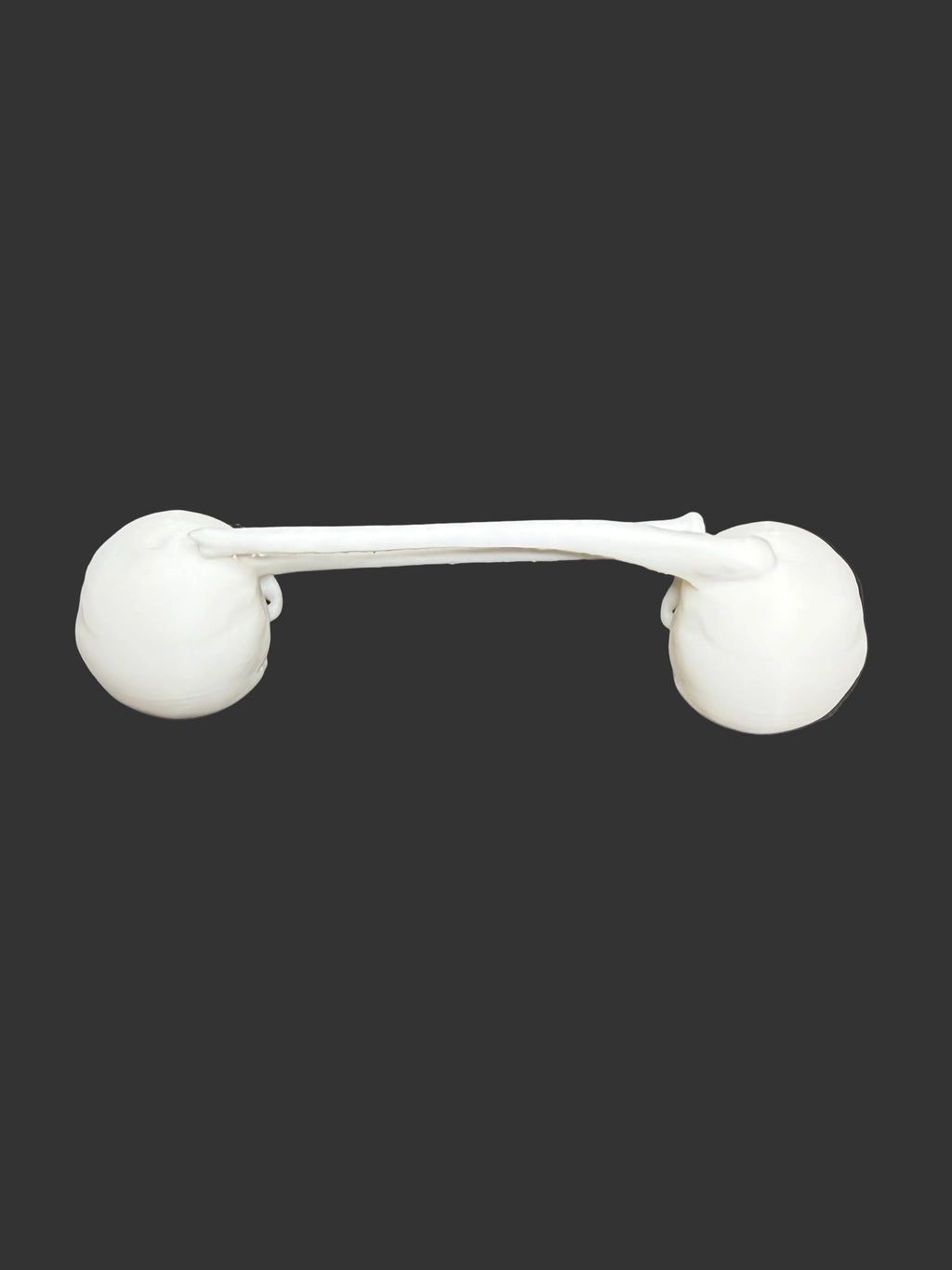 Skull & Femur Epoxy Tumbler Handle – Skeleton Handle Accessory