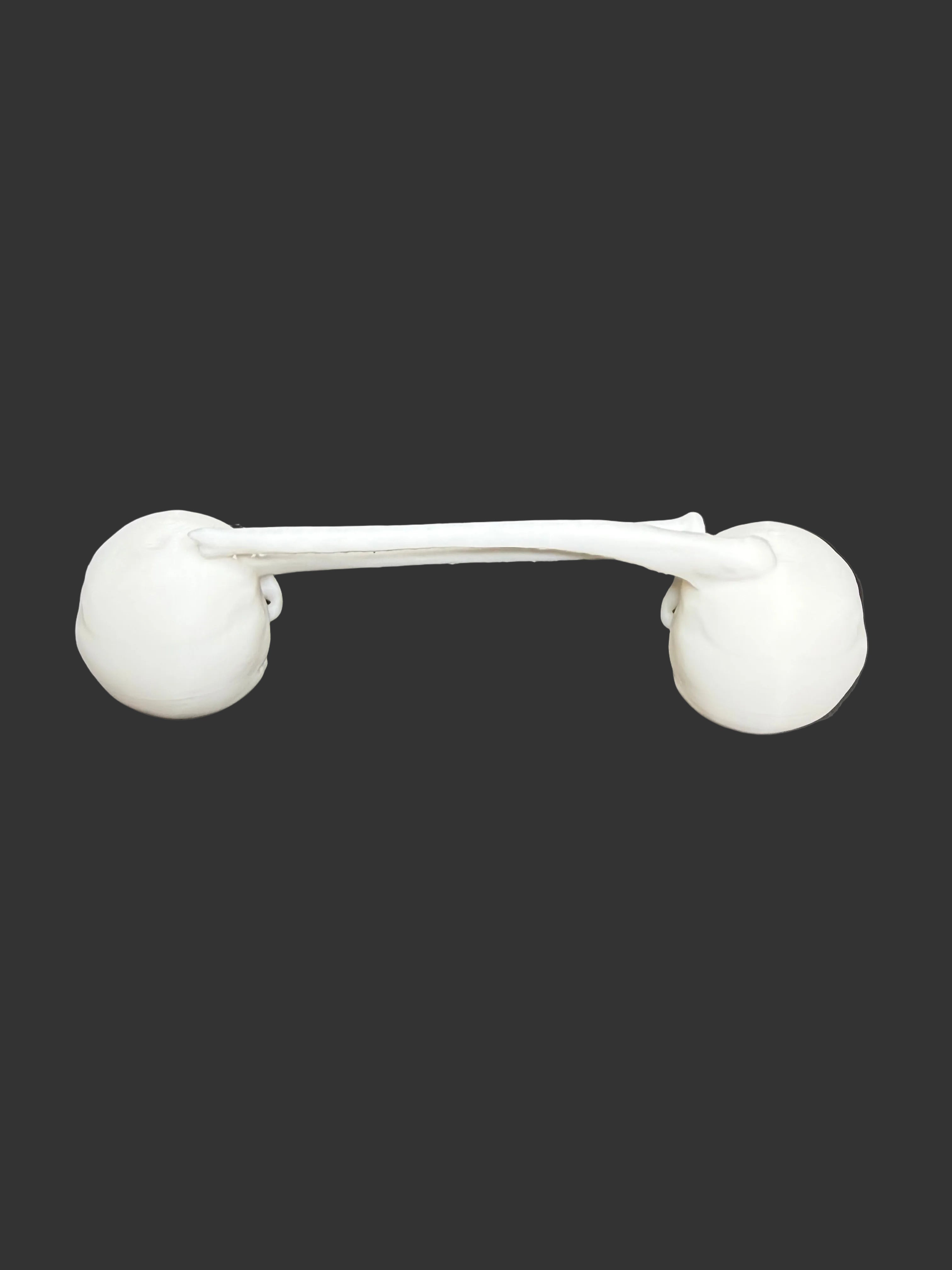 Skull & Femur Epoxy Tumbler Handle – Skeleton Handle Accessory